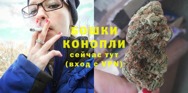 дурь Верея